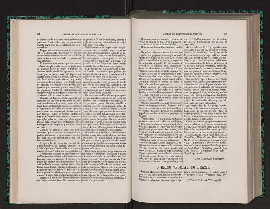 Jornal de horticultura prtica VIII 37