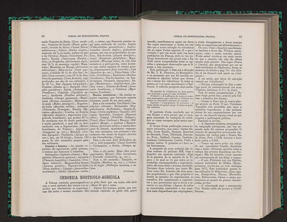 Jornal de horticultura prtica VIII 38