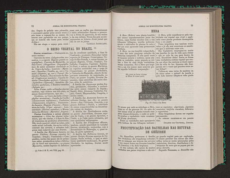 Jornal de horticultura prtica VIII 46