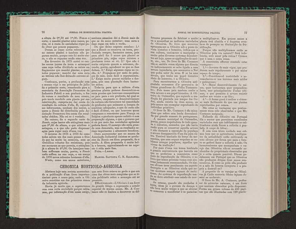 Jornal de horticultura prtica VIII 48