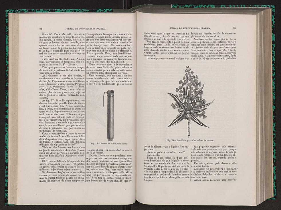 Jornal de horticultura prtica VIII 52