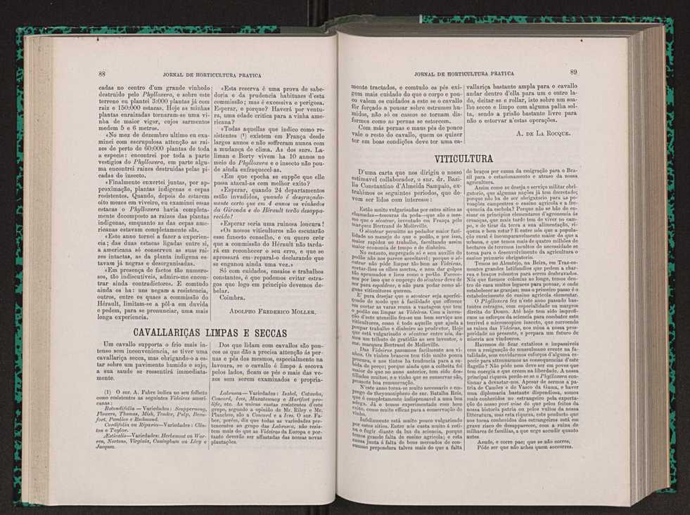 Jornal de horticultura prtica VIII 53