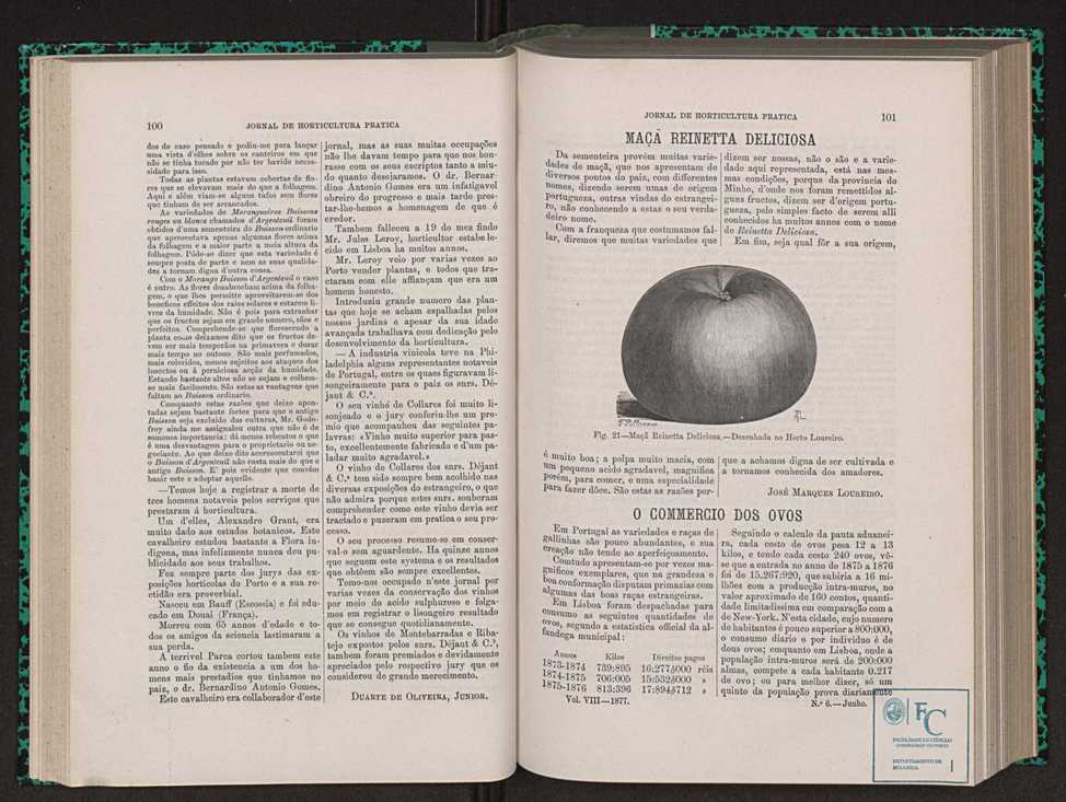 Jornal de horticultura prtica VIII 59