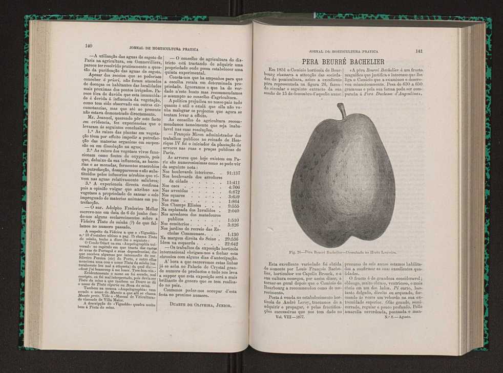 Jornal de horticultura prtica VIII 79