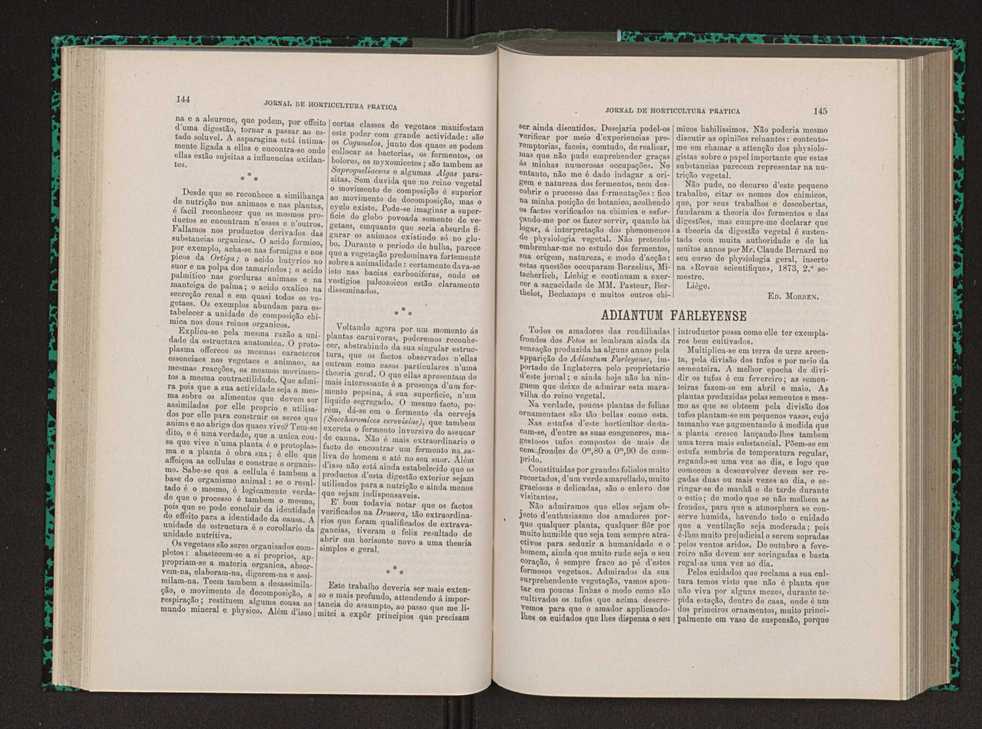 Jornal de horticultura prtica VIII 81