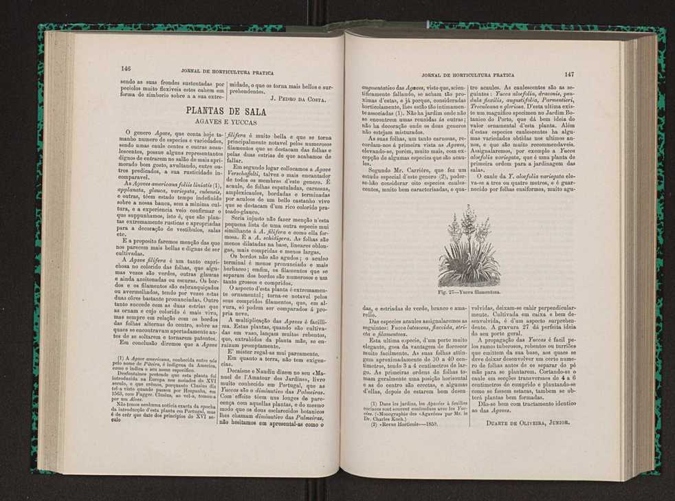 Jornal de horticultura prtica VIII 82