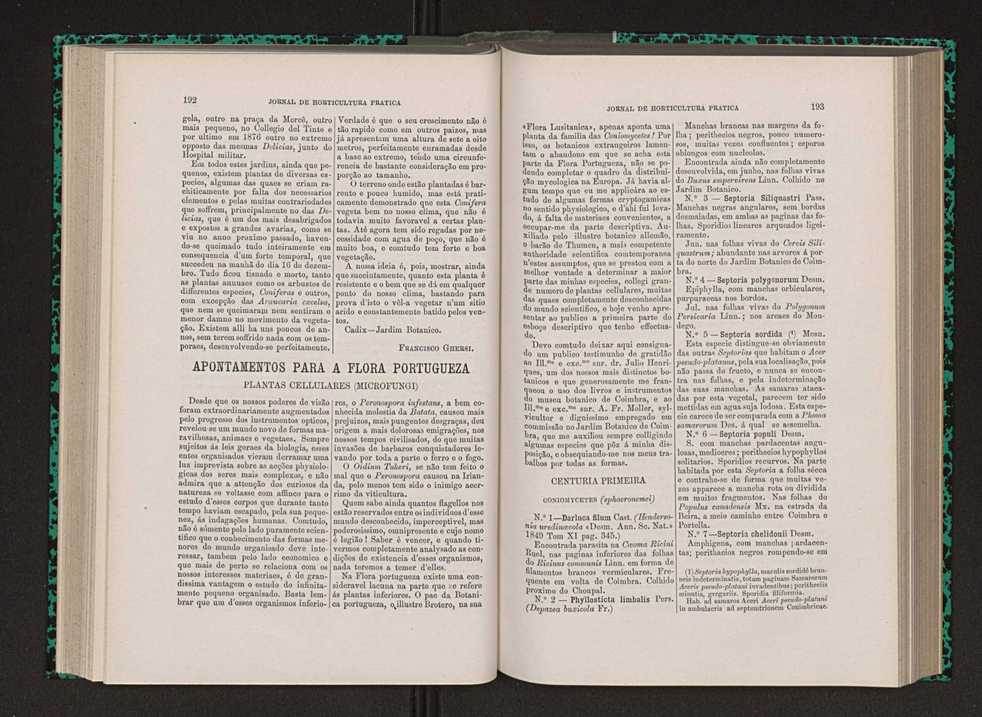 Jornal de horticultura prtica VIII 105
