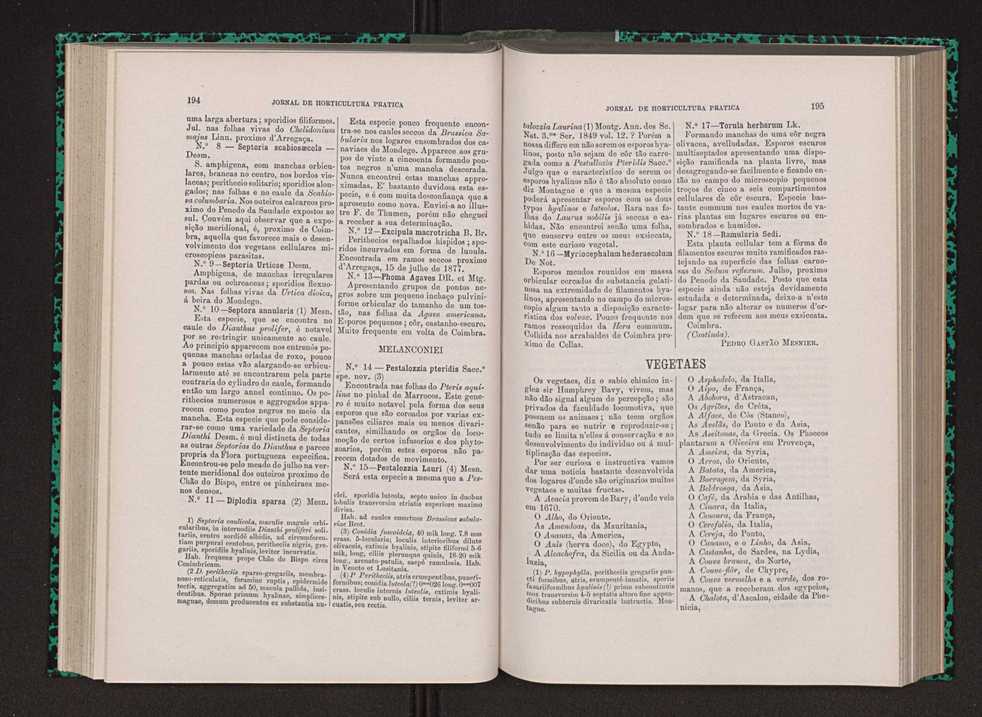 Jornal de horticultura prtica VIII 106