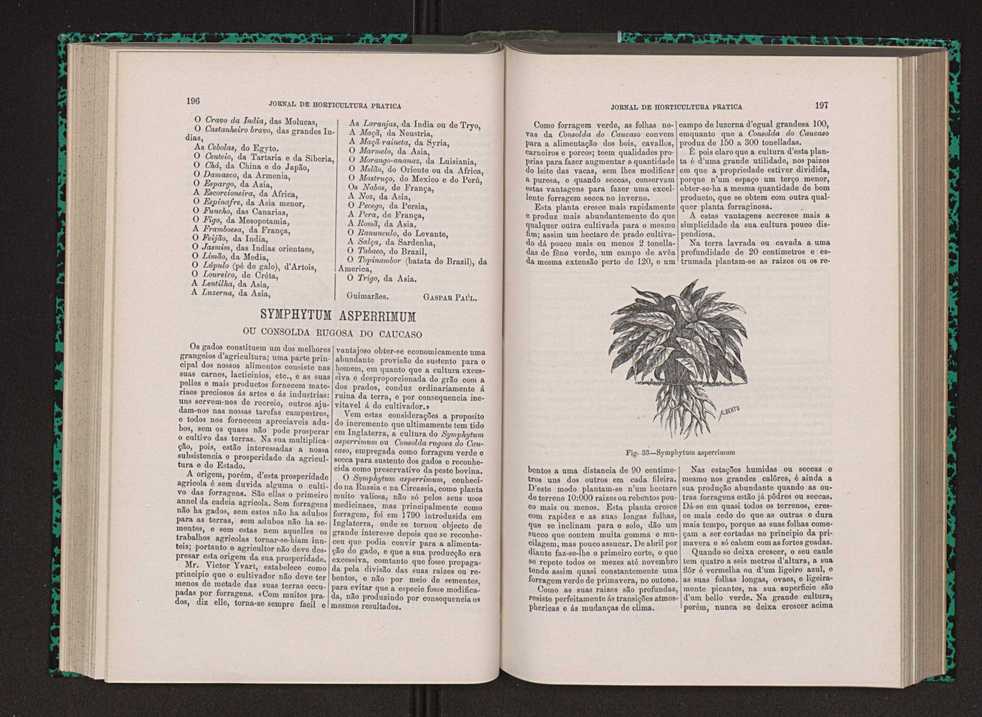 Jornal de horticultura prtica VIII 107