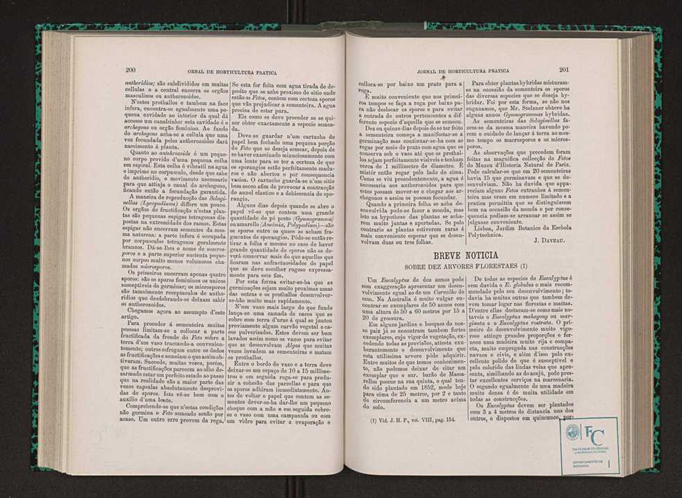 Jornal de horticultura prtica VIII 109