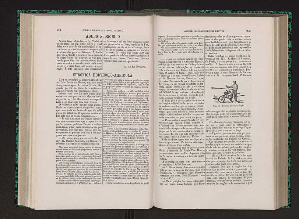 Jornal de horticultura prtica VIII 111