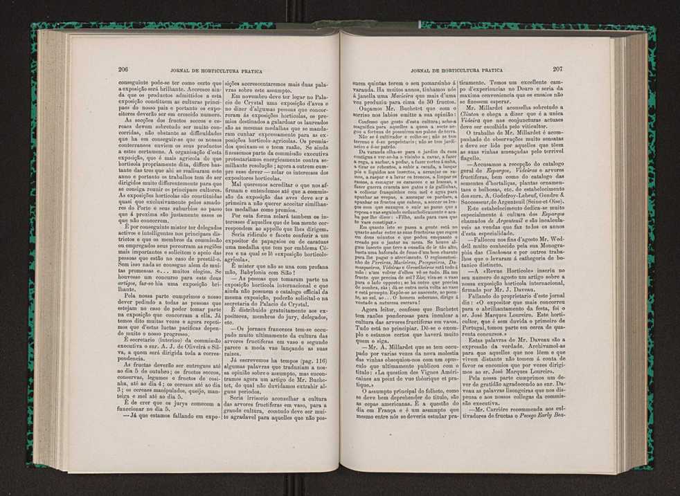 Jornal de horticultura prtica VIII 112