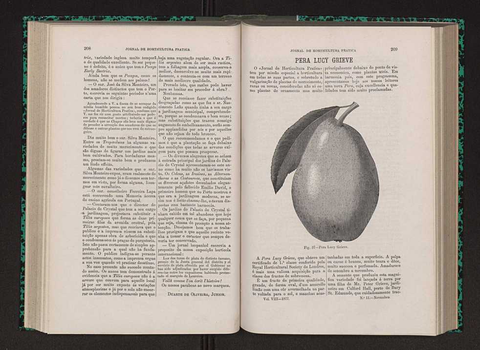 Jornal de horticultura prtica VIII 113