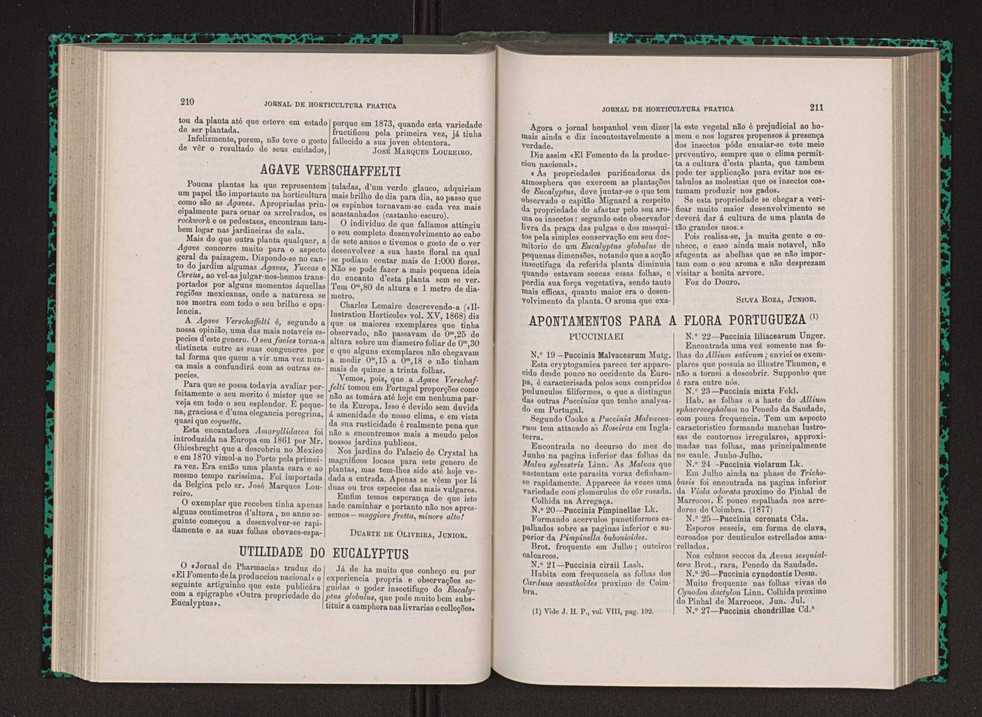 Jornal de horticultura prtica VIII 114