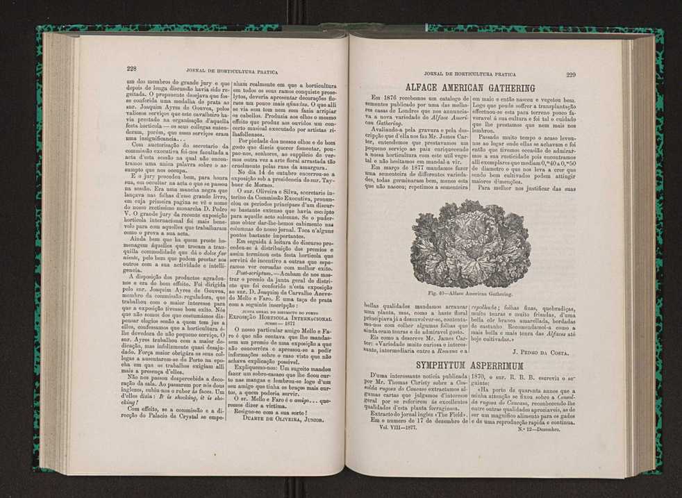 Jornal de horticultura prtica VIII 123