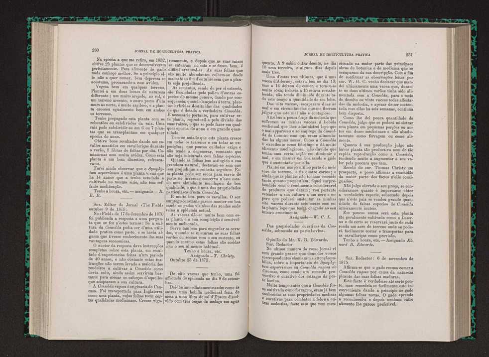 Jornal de horticultura prtica VIII 124