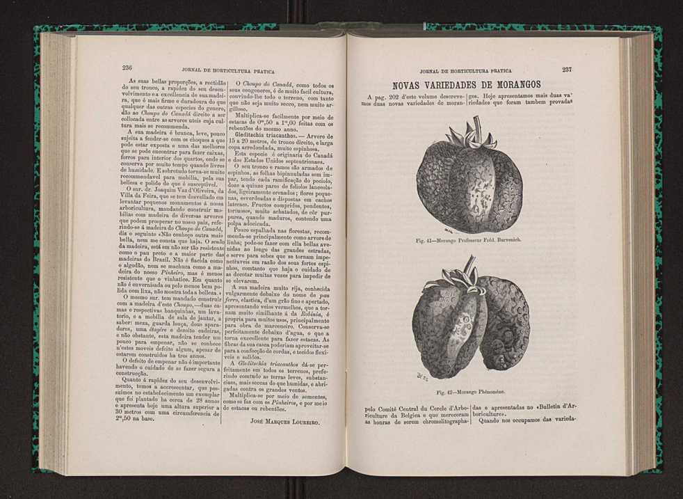 Jornal de horticultura prtica VIII 127