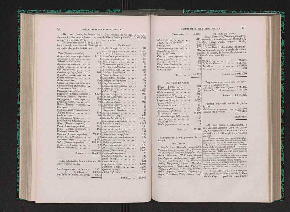 Jornal de horticultura pr�tica VIII 132