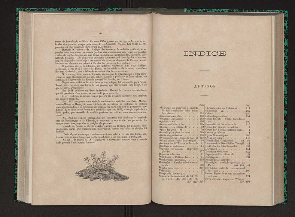 Jornal de horticultura prtica IX 5