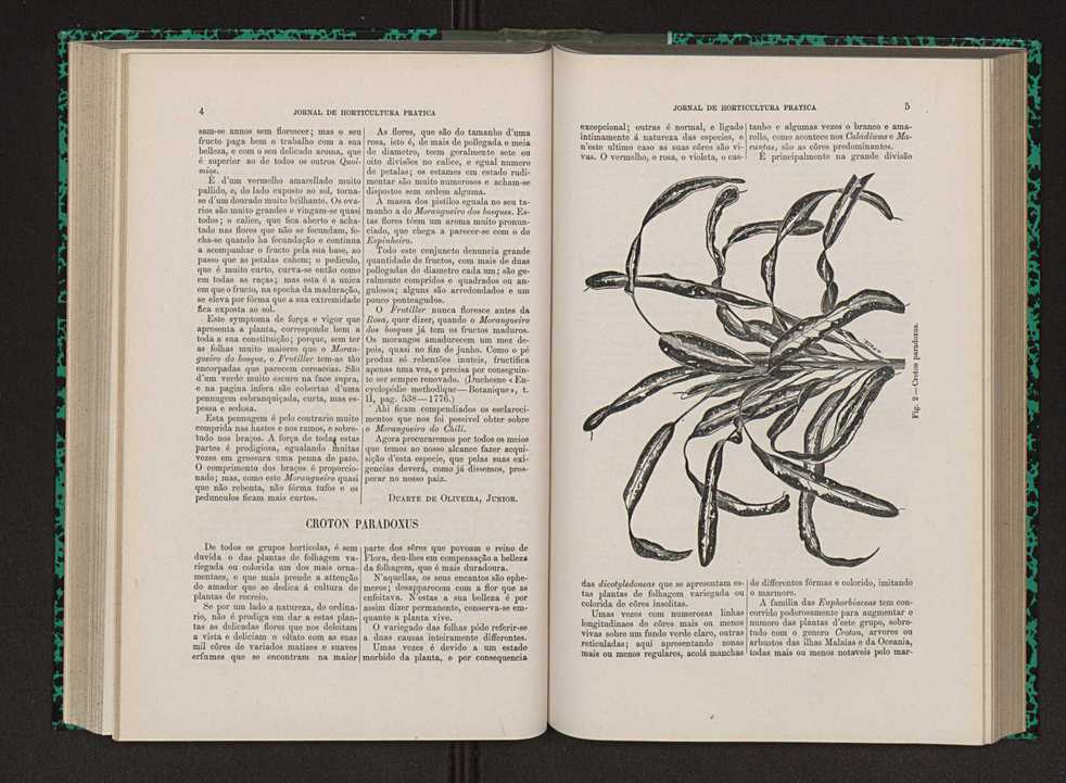 Jornal de horticultura prtica IX 11