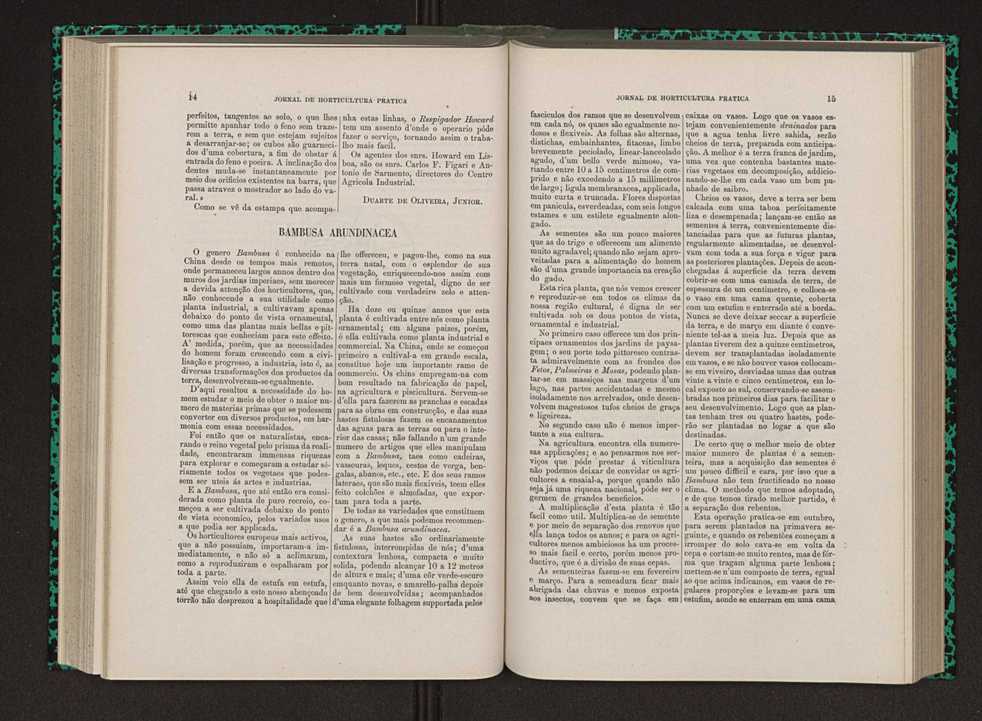 Jornal de horticultura prtica IX 16
