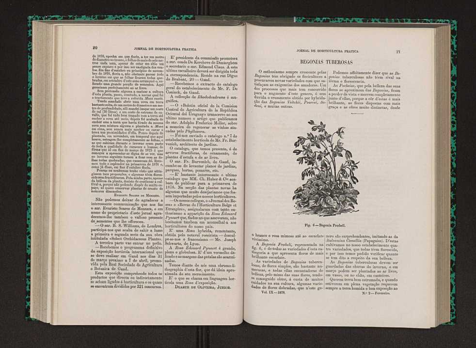 Jornal de horticultura prtica IX 19