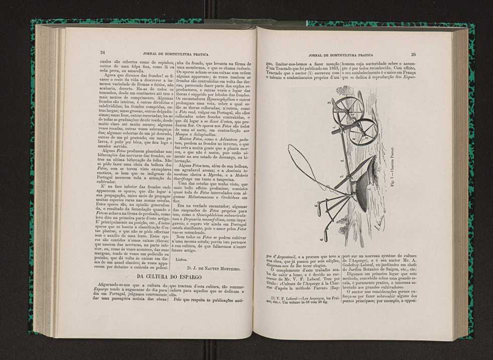 Jornal de horticultura prtica IX 21