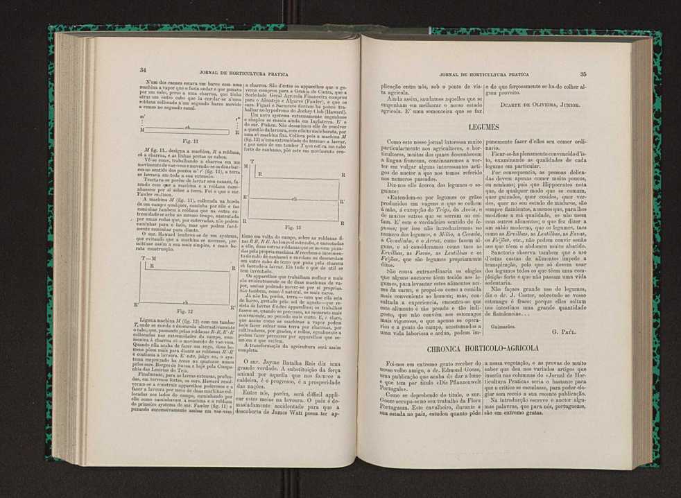Jornal de horticultura prtica IX 26