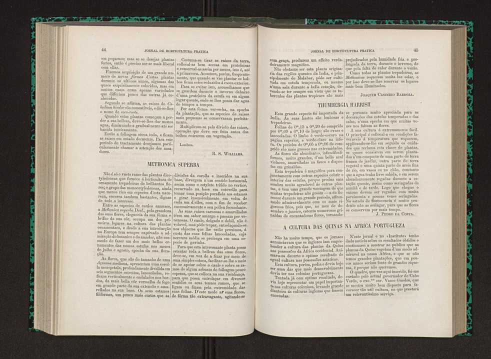 Jornal de horticultura prtica IX 31