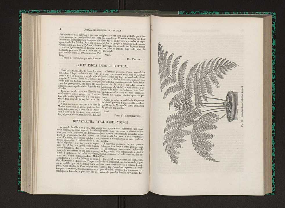 Jornal de horticultura prtica IX 33