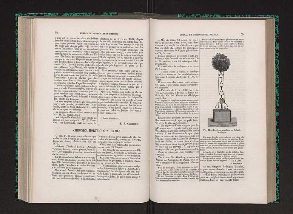 Jornal de horticultura prtica IX 36