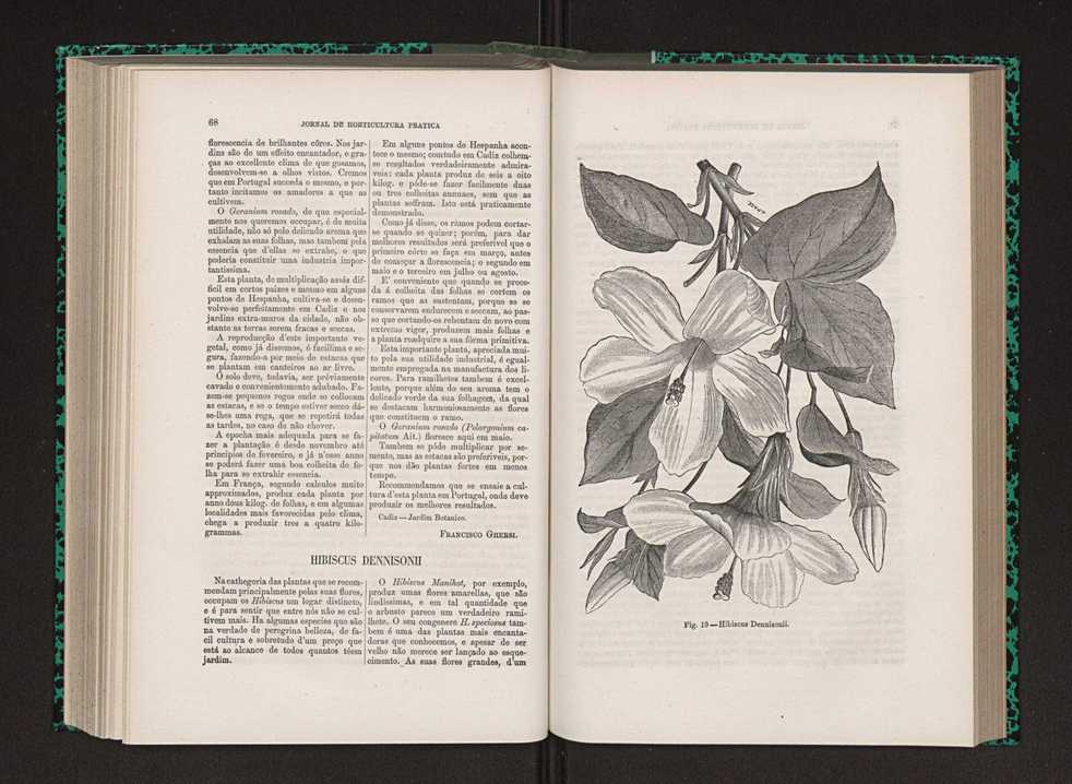 Jornal de horticultura prtica IX 43