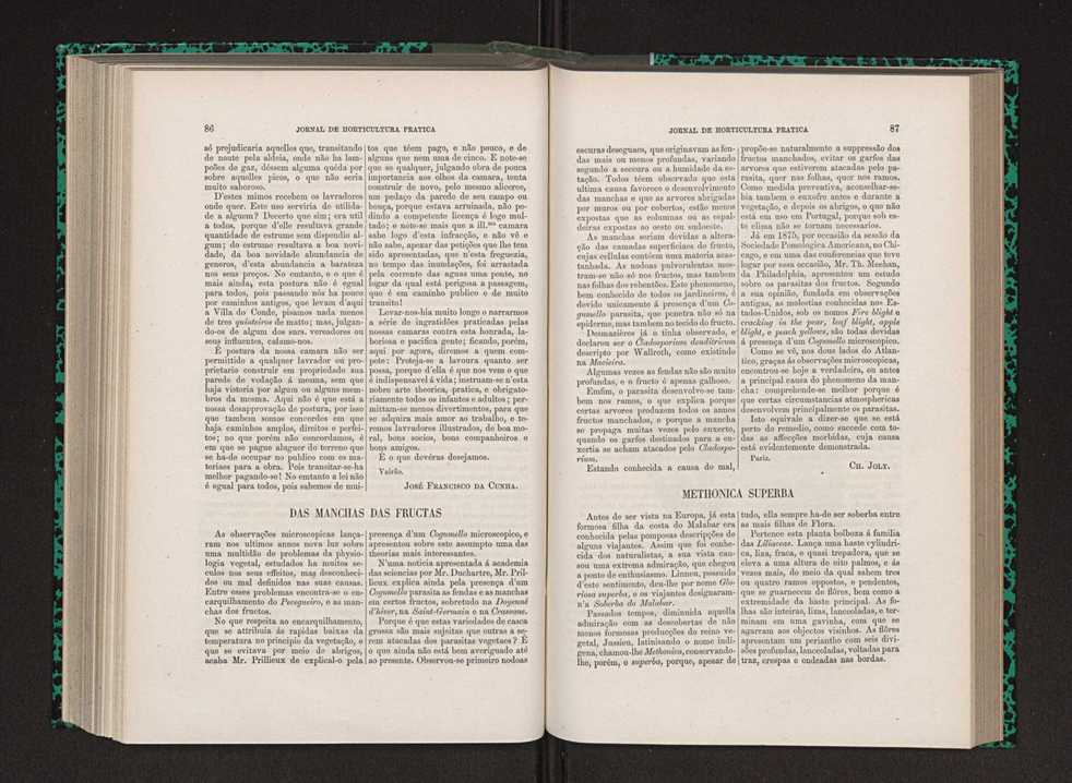 Jornal de horticultura prtica IX 52