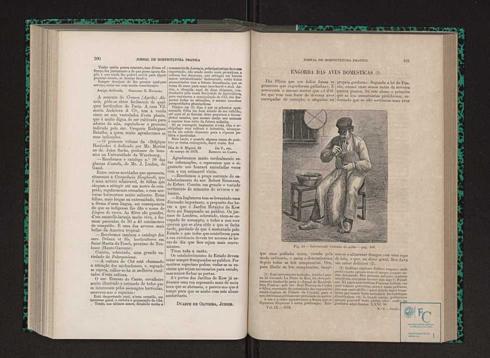 Jornal de horticultura prtica IX 59