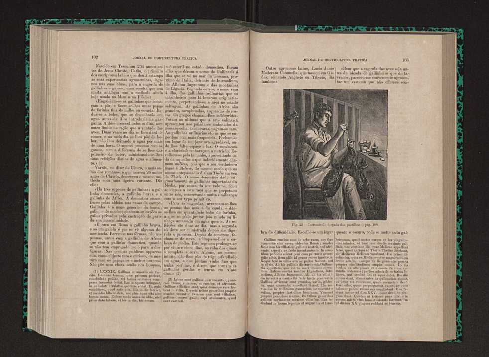 Jornal de horticultura prtica IX 60