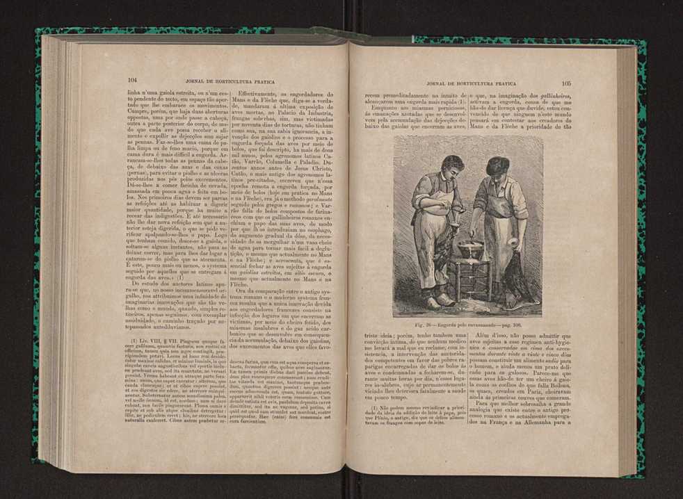 Jornal de horticultura prtica IX 61