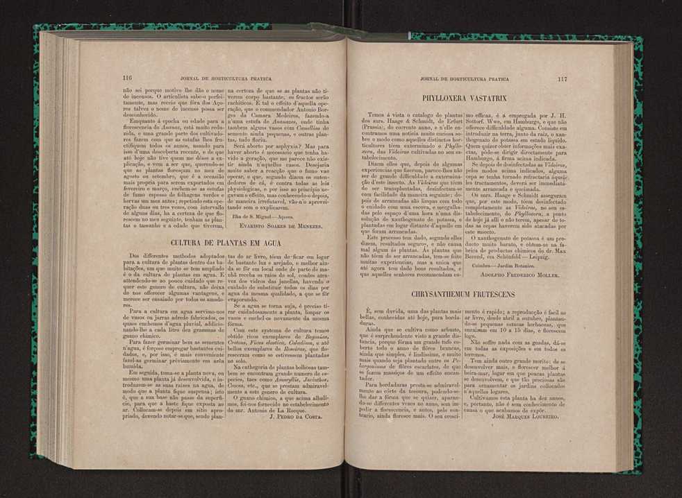 Jornal de horticultura prtica IX 67