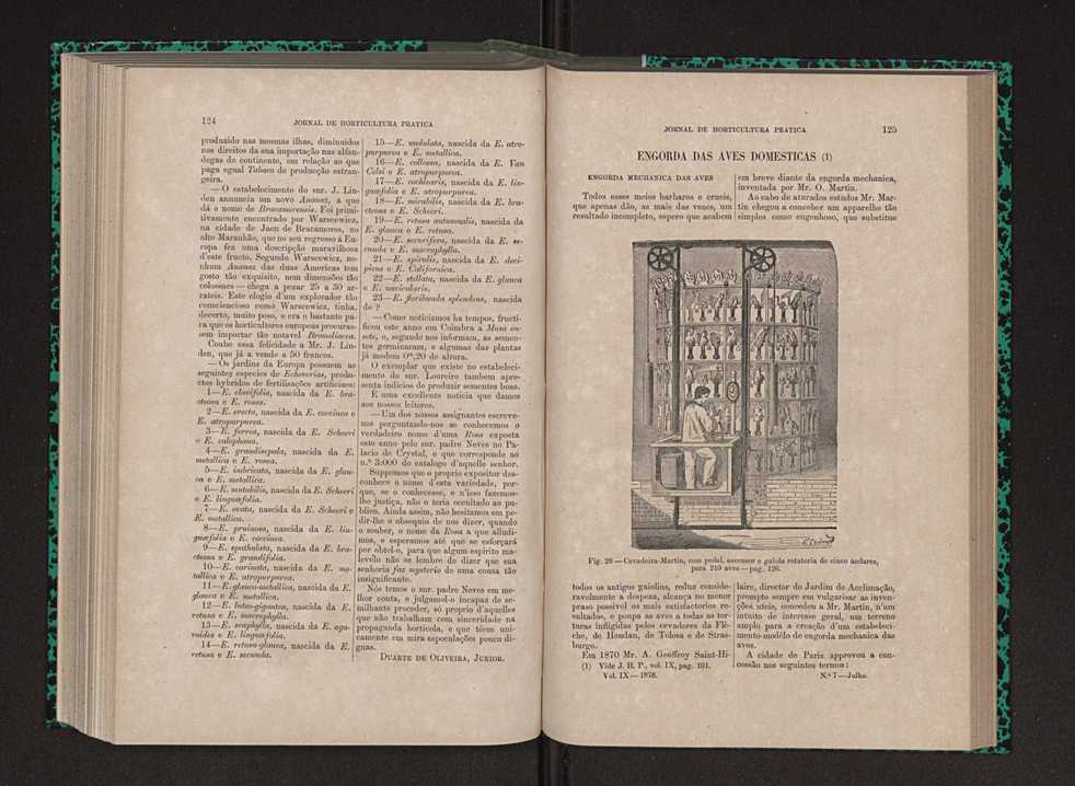 Jornal de horticultura prtica IX 71