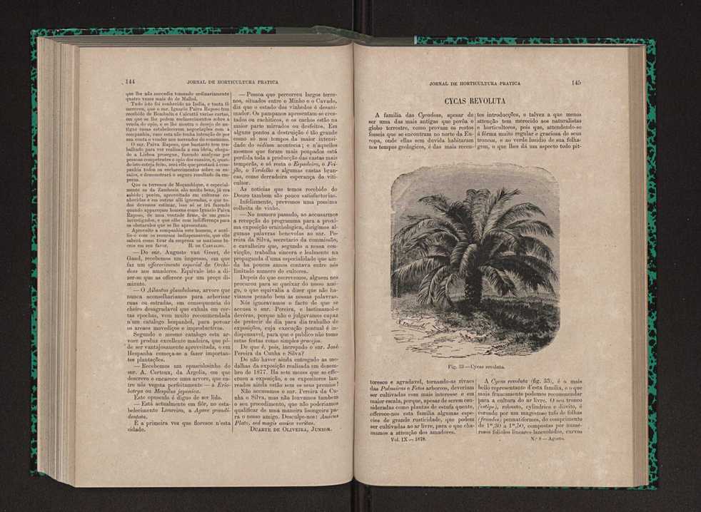 Jornal de horticultura prtica IX 81