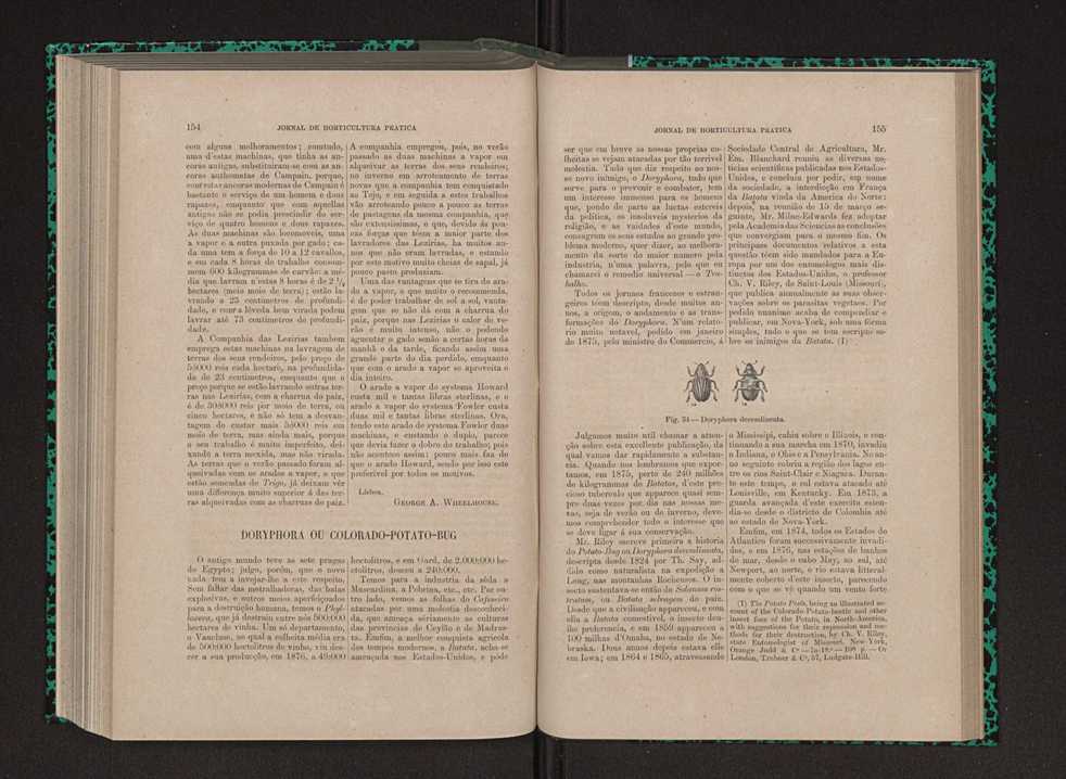 Jornal de horticultura prtica IX 86