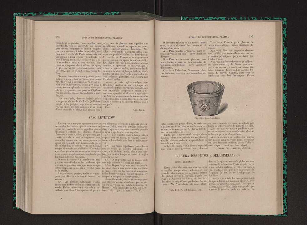 Jornal de horticultura prtica IX 88