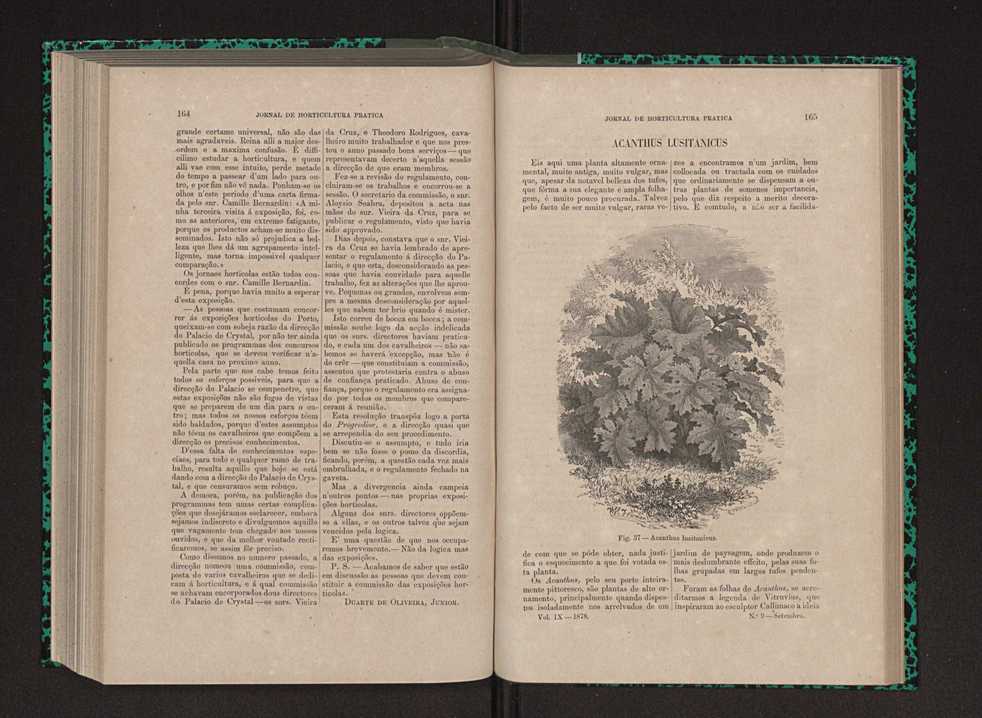 Jornal de horticultura prtica IX 91
