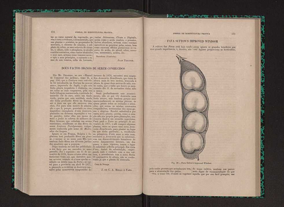 Jornal de horticultura prtica IX 96