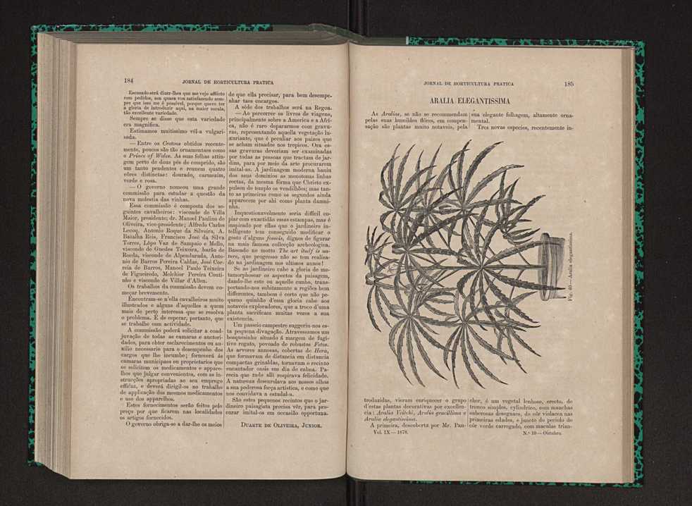 Jornal de horticultura prtica IX 101