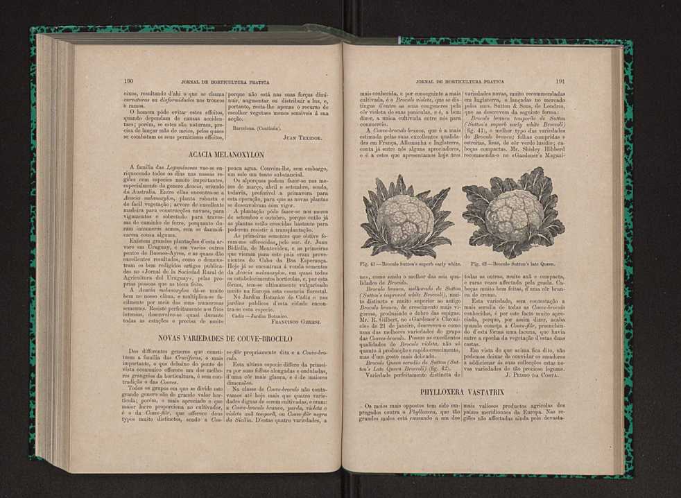 Jornal de horticultura prtica IX 104