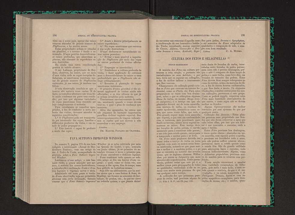 Jornal de horticultura prtica IX 106