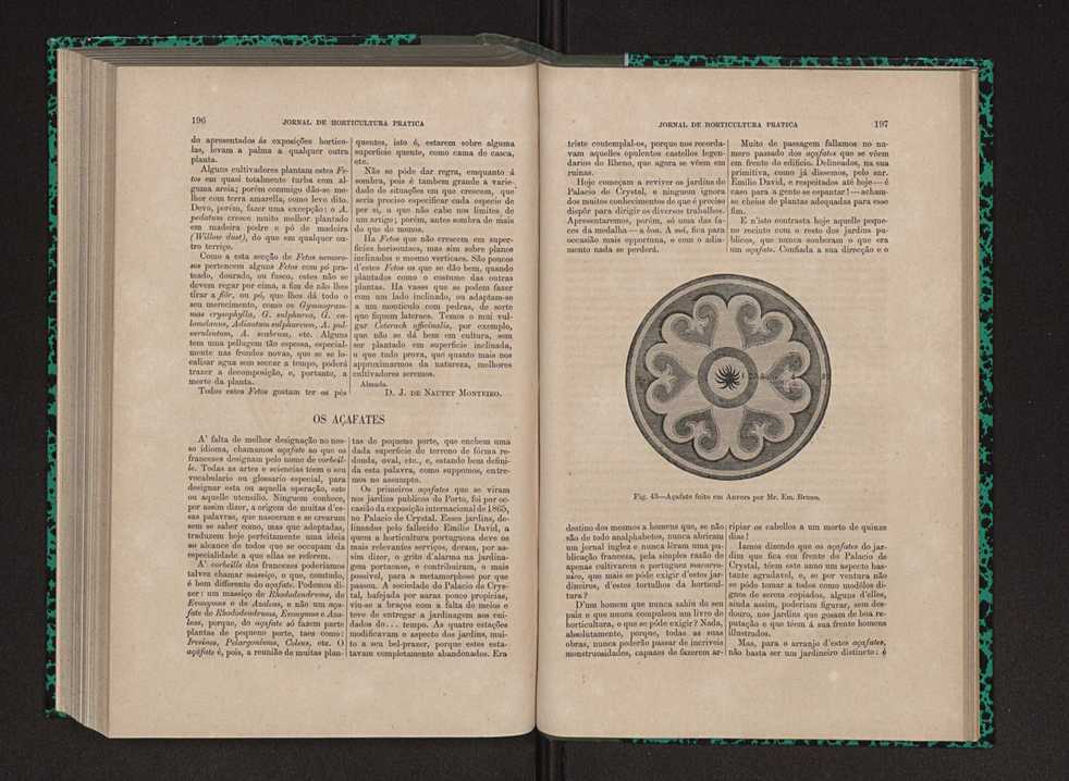 Jornal de horticultura prtica IX 107