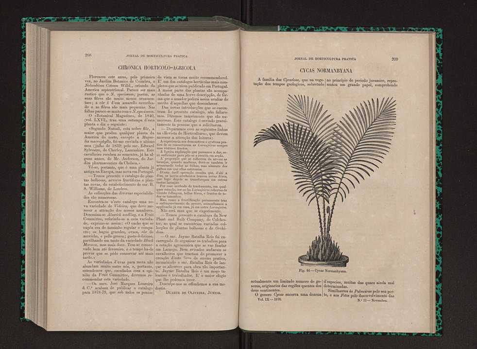 Jornal de horticultura pr�tica IX 113
