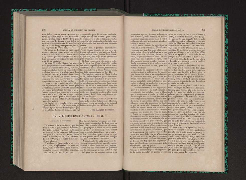 Jornal de horticultura prtica IX 114