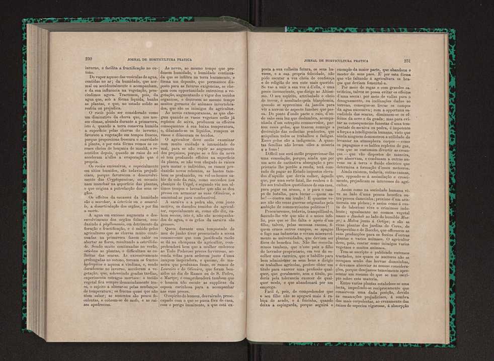 Jornal de horticultura prtica IX 124